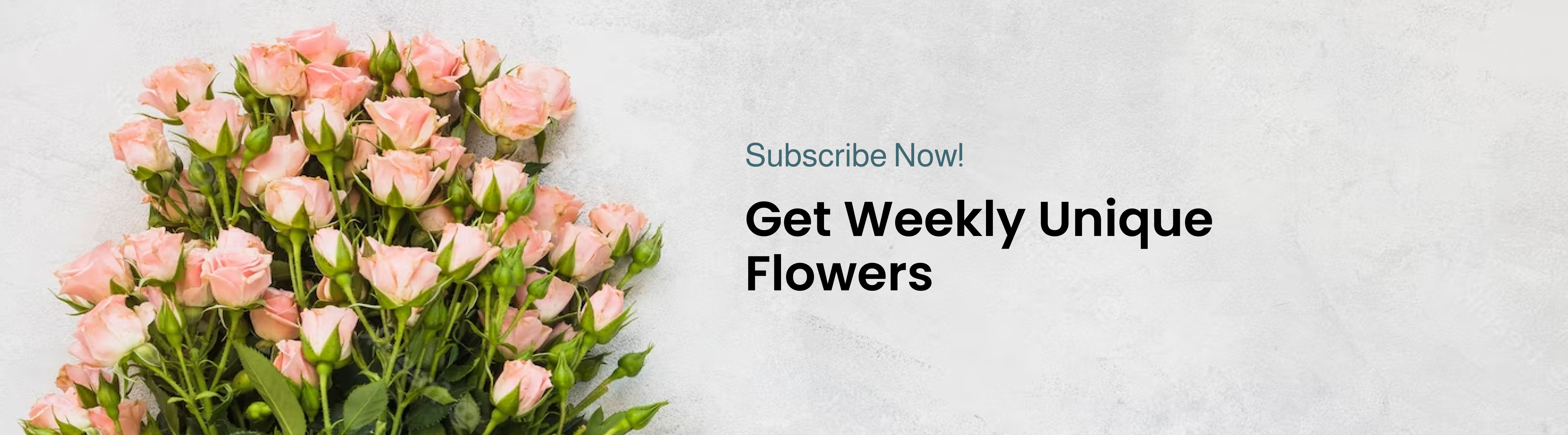 Subscription